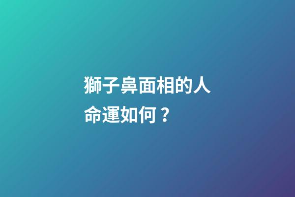 獅子鼻面相的人命運如何？
